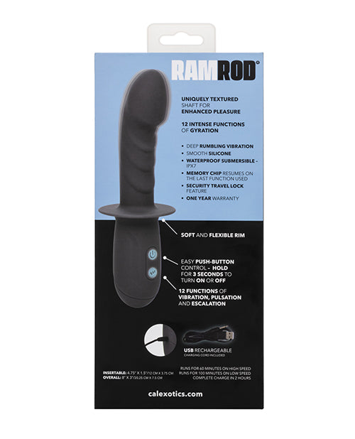 Ramrod Gyrating Anal Probe